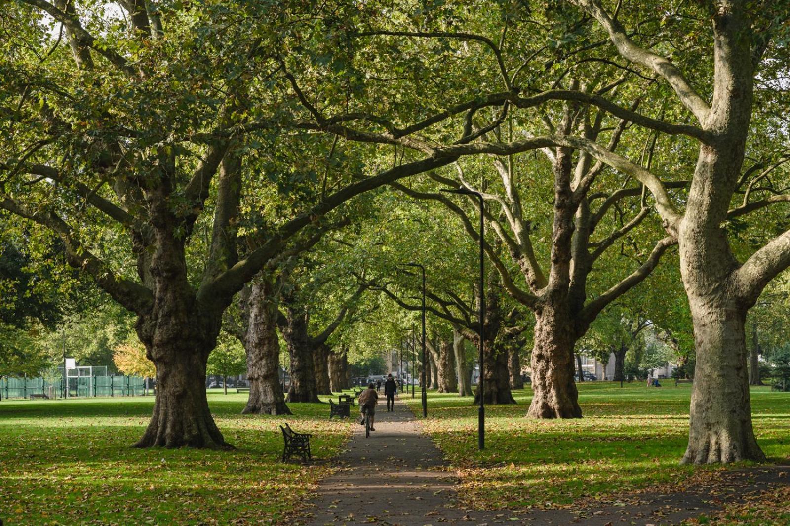 Lovely Apartment In Victoria Park Village London Kültér fotó
